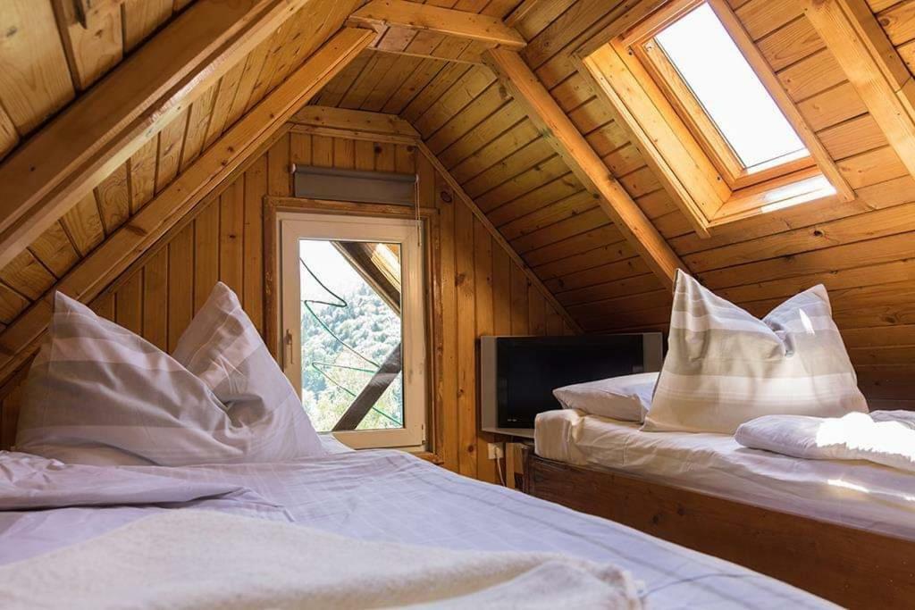 Florile Bucegilor Casa vacanze Sinaia
